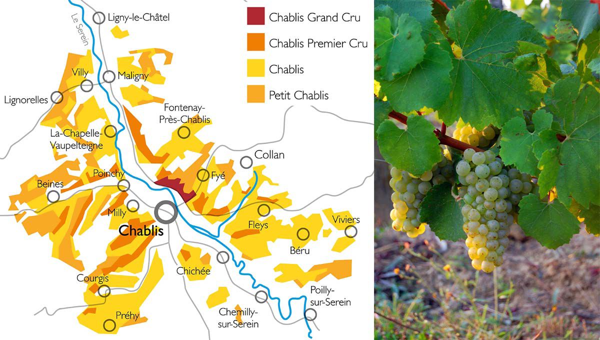 Carte du vignoble chablisien