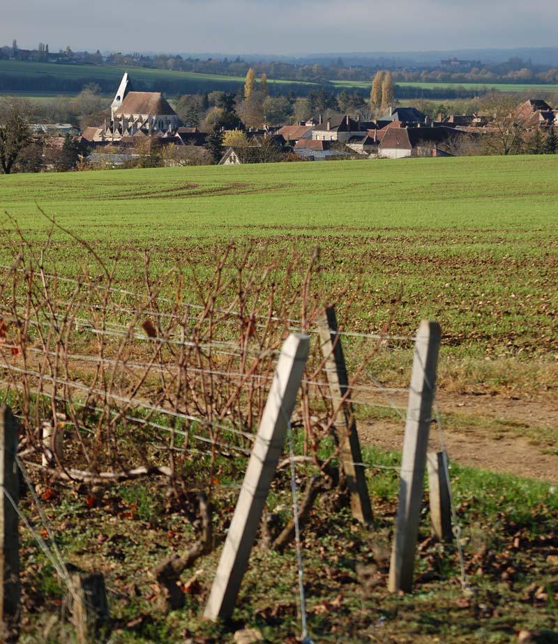 Sentier de randonnée autour de Ligny le Châtel