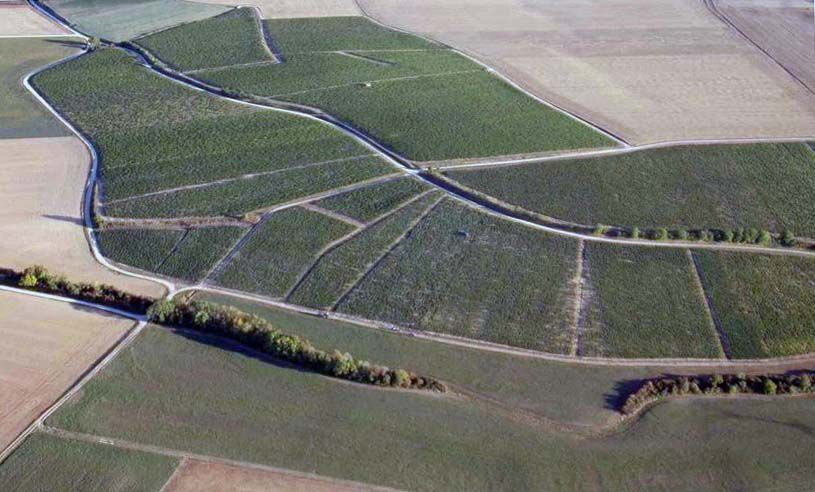 Vue aérienne des vignes de Ligny le Châtel